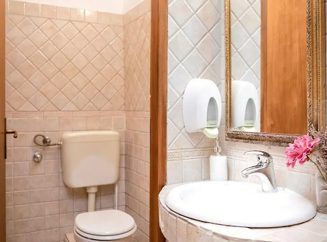 Spila * 이반 돌라츠